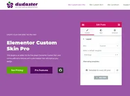 Elementor Custom Skin Pro